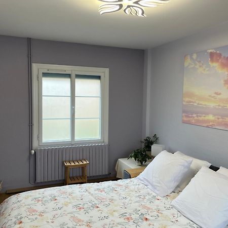 Au Fil De L'Eau Bed & Breakfast La Chapelle-Saint-Aubin Bagian luar foto